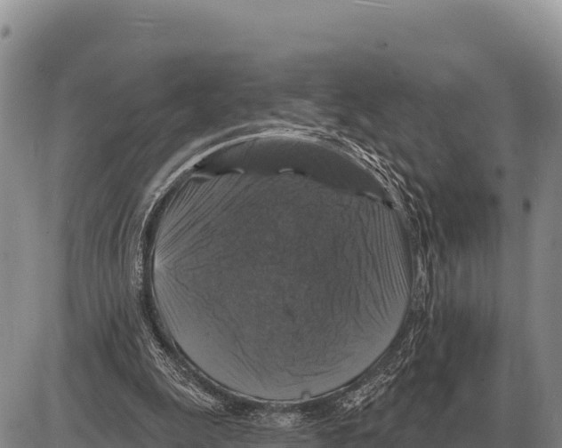 X0000086300247200704271834