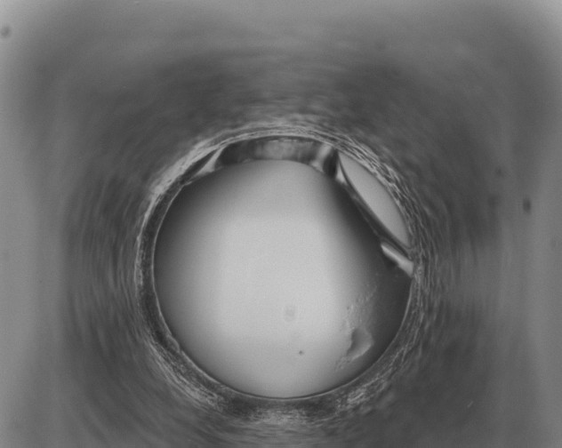 X0000086300248200704271834