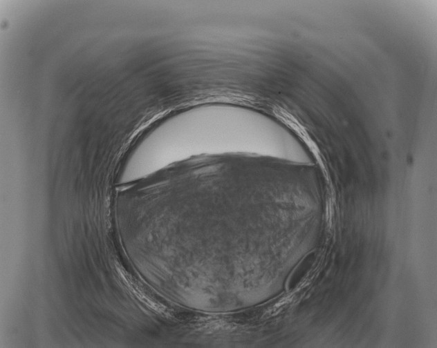 X0000086300249200704271834