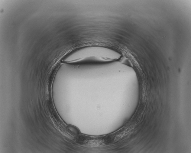 X0000086300251200704271834