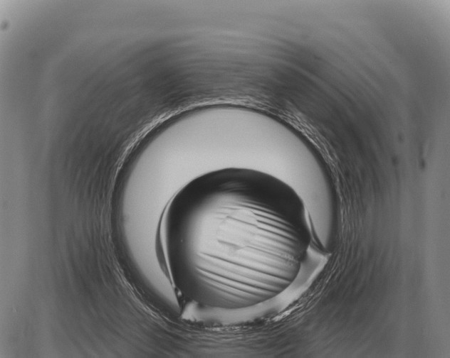 X0000086300252200704271834