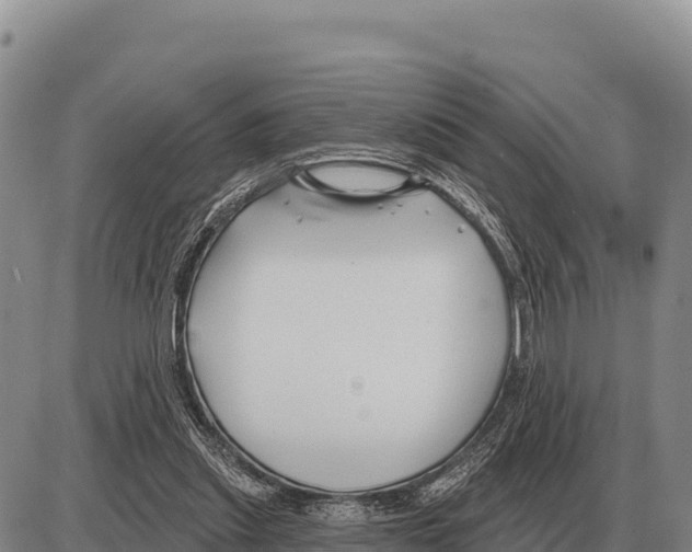 X0000086300253200704271834