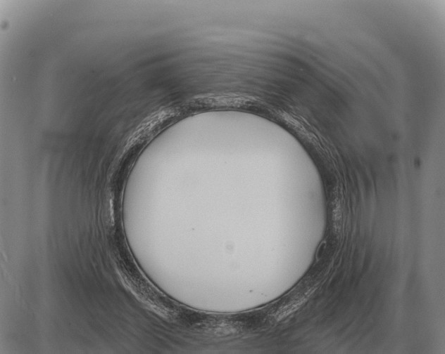 X0000086300254200704271834