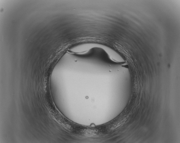 X0000086300255200704271834