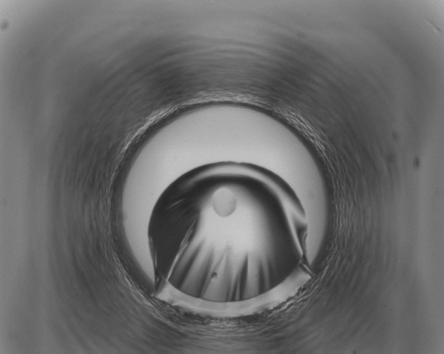 X0000086300256200704271834