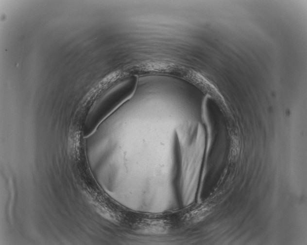 X0000086300260200704271834