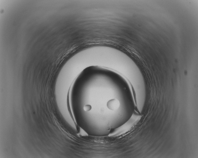 X0000086300264200704271834