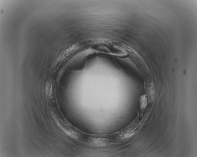 X0000086300268200704271834