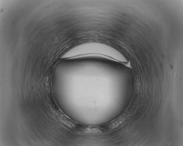 X0000086300270200704271834