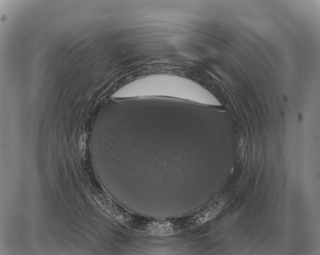 X0000086300271200704271834