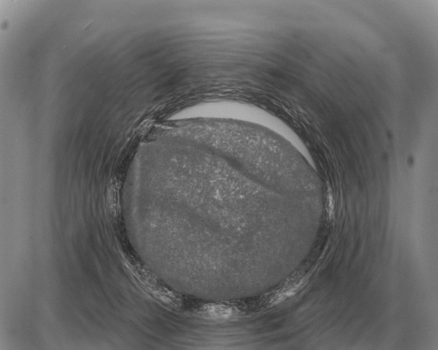 X0000086300272200704271834