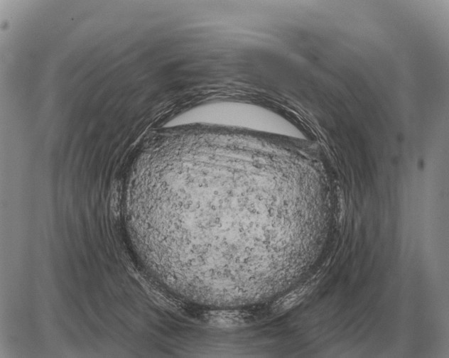 X0000086300273200704271834