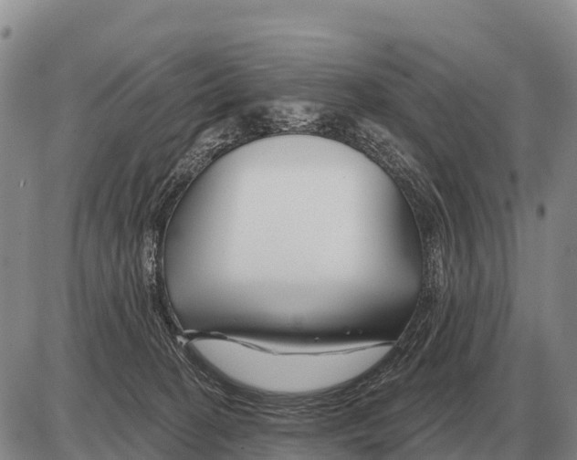 X0000086300274200704271834