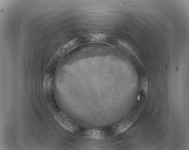 X0000086300276200704271834