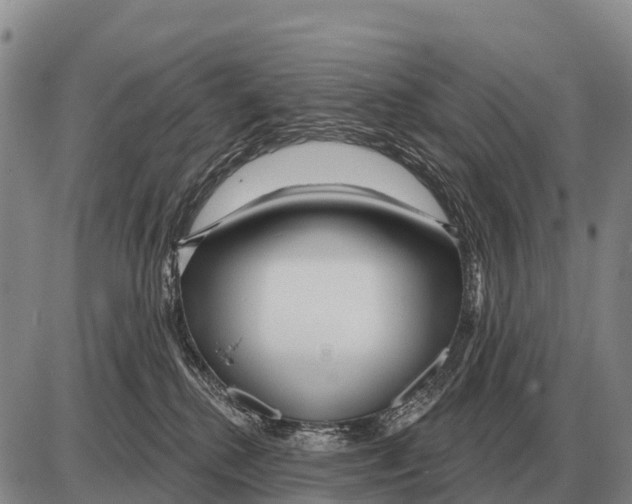 X0000086300280200704271834