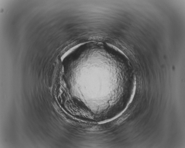 X0000086300281200704271834