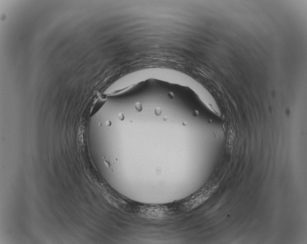 X0000086300282200704271834