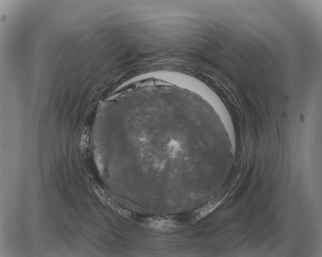 X0000086300284200704271834