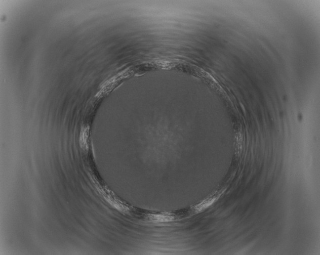 X0000086300286200704271834