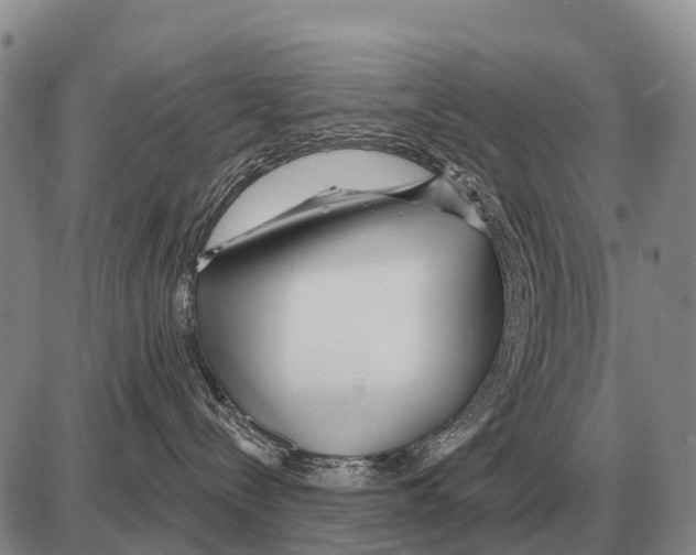 X0000086300288200704271835