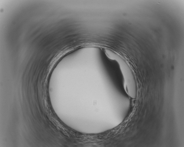 X0000086300289200704271834