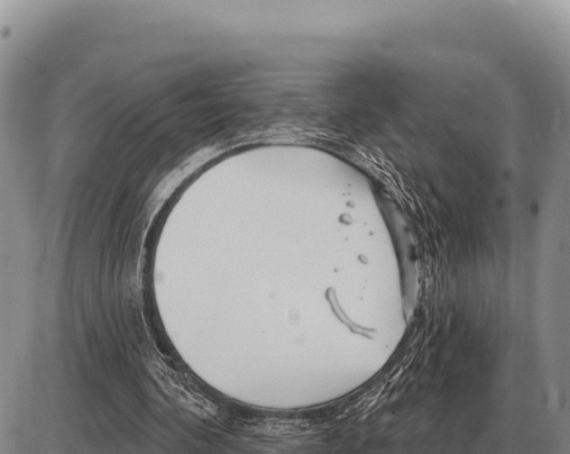 X0000086300292200704271834