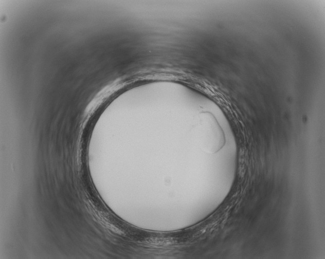 X0000086300296200704271834