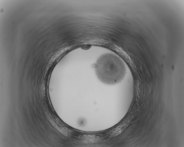 X0000086300298200704271834