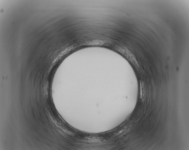 X0000086300300200704271834