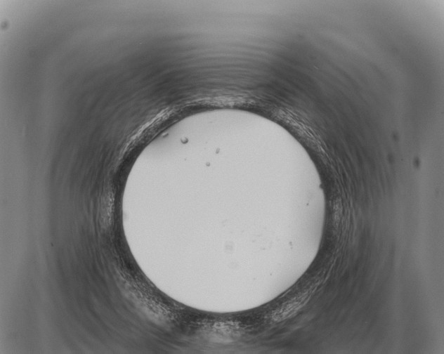 X0000086300304200704271834