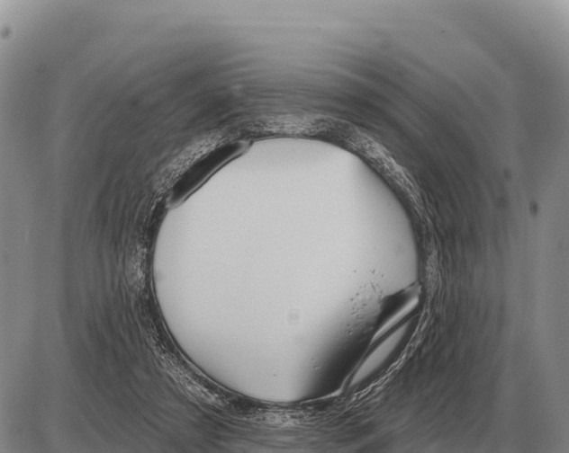 X0000086300305200704271833