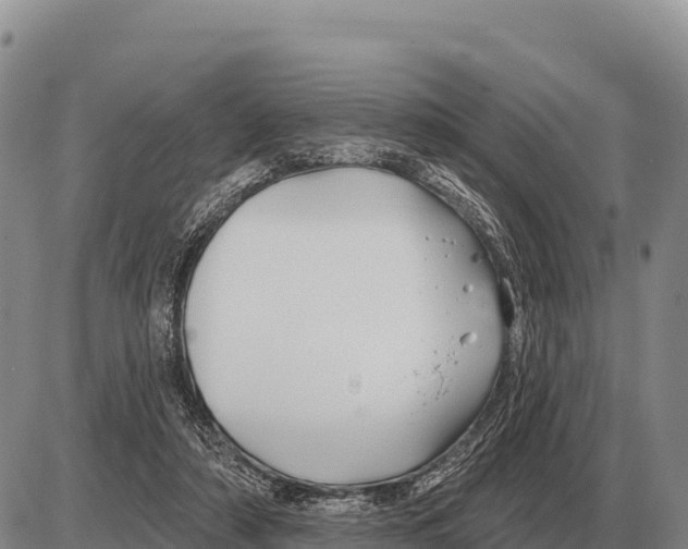 X0000086300306200704271833