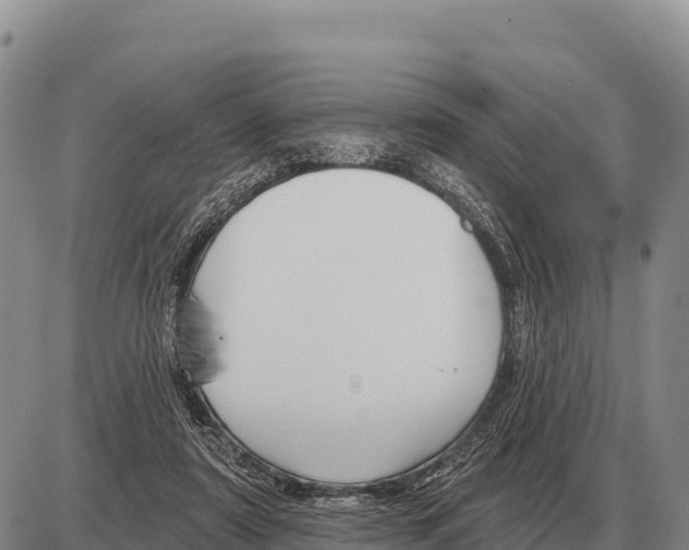 X0000086300307200704271833