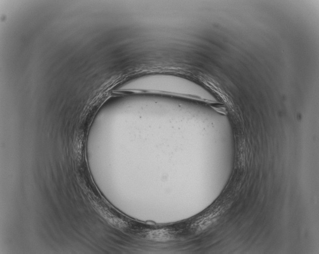 X0000086300309200704271833