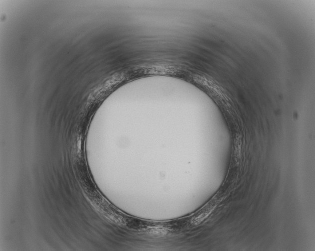 X0000086300310200704271833