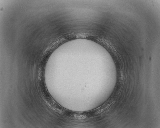 X0000086300311200704271833