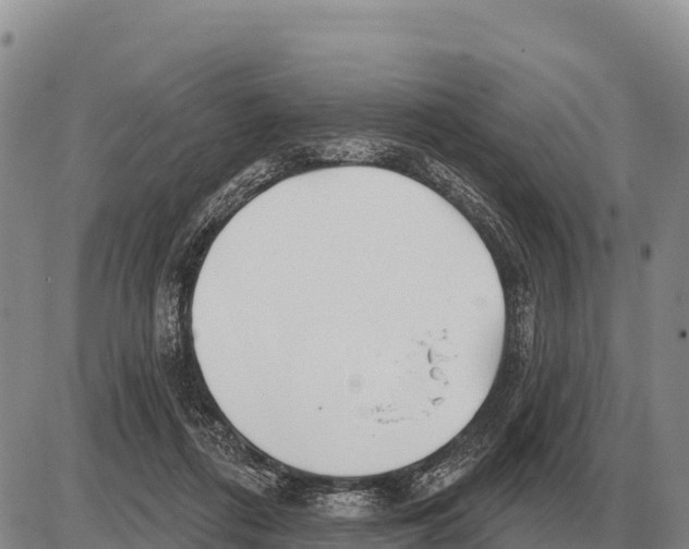 X0000086300312200704271833