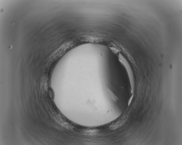 X0000086300313200704271833