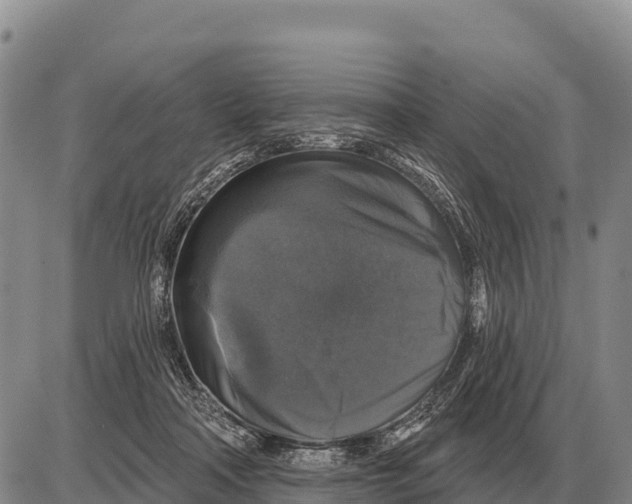 X0000086300314200704271833