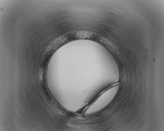 X0000086300315200704271833