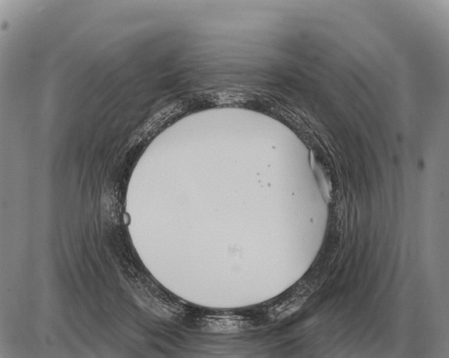 X0000086300316200704271833