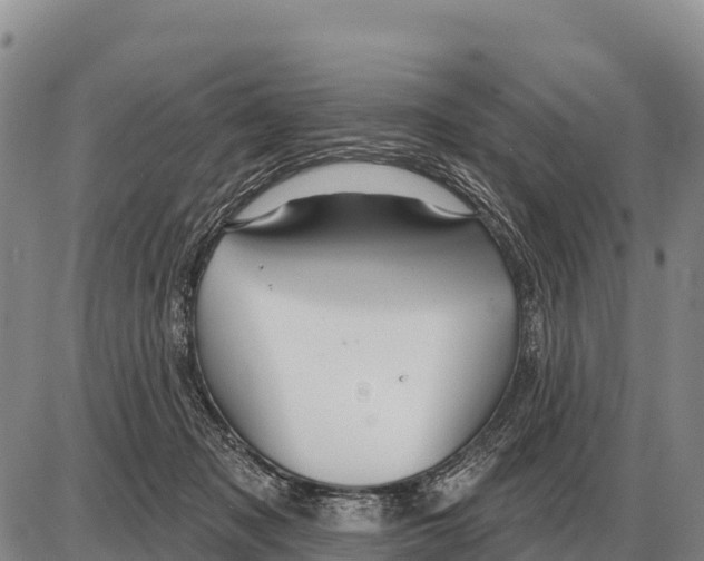 X0000086300317200704271833