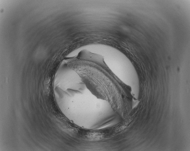 X0000086300319200704271833