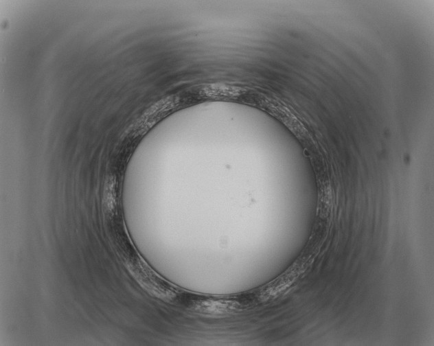 X0000086300323200704271833