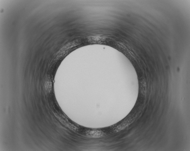 X0000086300324200704271833