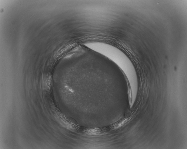 X0000086300325200704271833