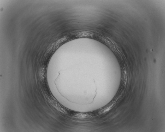 X0000086300326200704271833