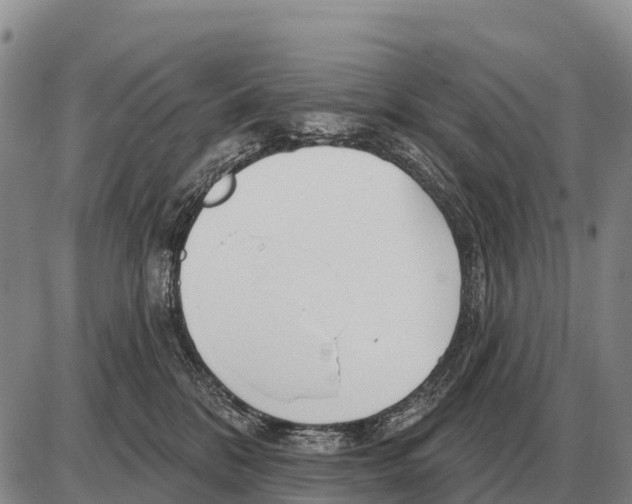 X0000086300328200704271833