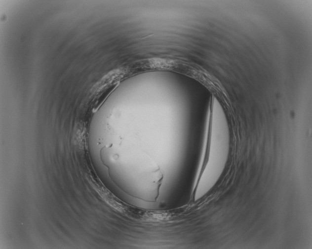 X0000086300329200704271833