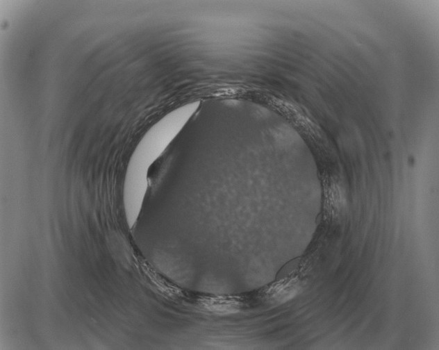 X0000086300331200704271833